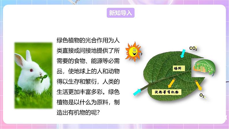 【新课标】冀少版生物八上3.3.2《光合作用的原料》课件+教案+学案03