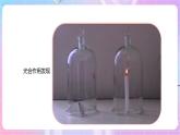【新课标】冀少版生物八上3.3.2《光合作用的原料》课件+教案+学案
