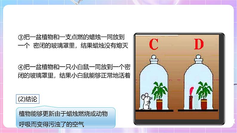 【新课标】冀少版生物八上3.3.2《光合作用的原料》课件+教案+学案06