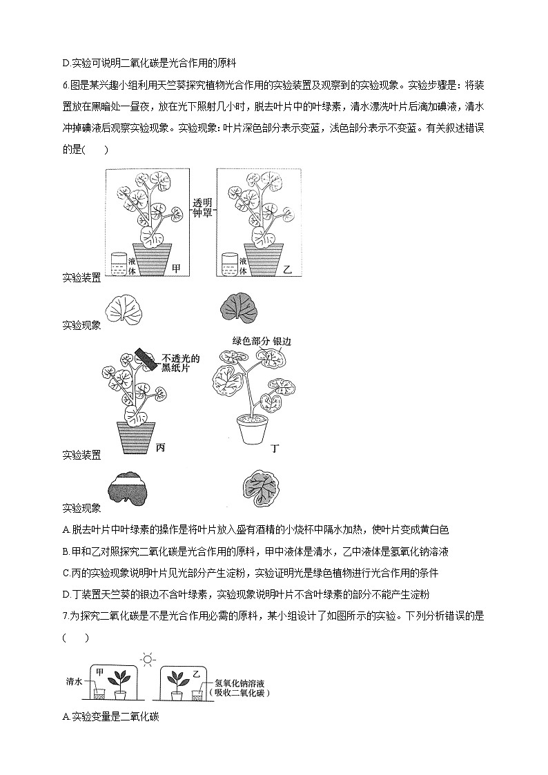 【新课标】冀少版生物八上3.3.2《光合作用的原料》学案第3页