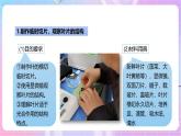 【新课标】冀少版生物八上3.3.3《光合作用的场所》课件+教案+学案