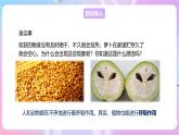 【新课标】冀少版生物八上3.4.1《呼吸作用》课件+教案+学案