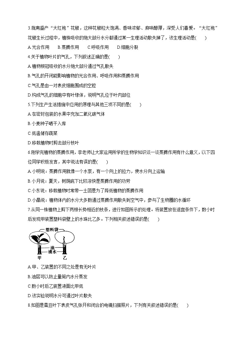 【新课标】冀少版生物八上3.4.2《蒸腾作用》课件+教案+学案03