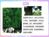 【新课标】冀少版生物八上3.4.2《蒸腾作用》课件+教案+学案