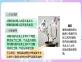 【新课标】冀少版生物八上3.4.2《蒸腾作用》课件+教案+学案