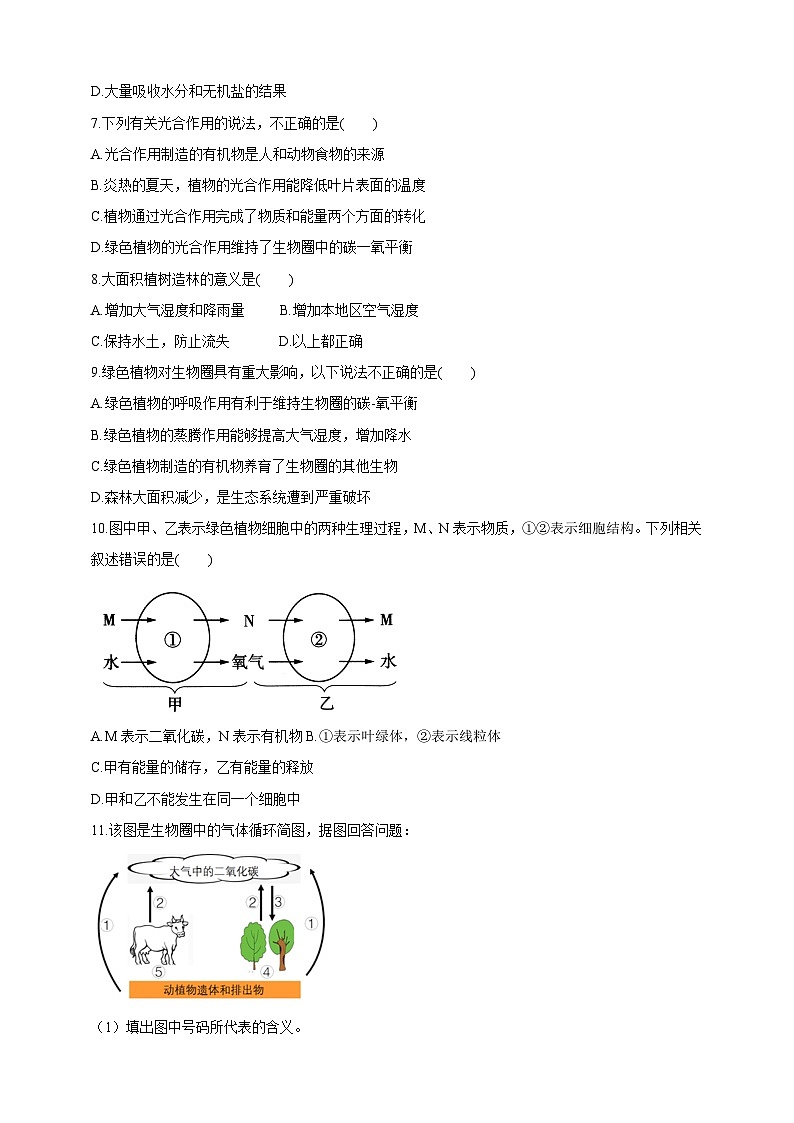 【新课标】冀少版生物八上3.5《绿色植物在生物圈中的作用》学案第3页