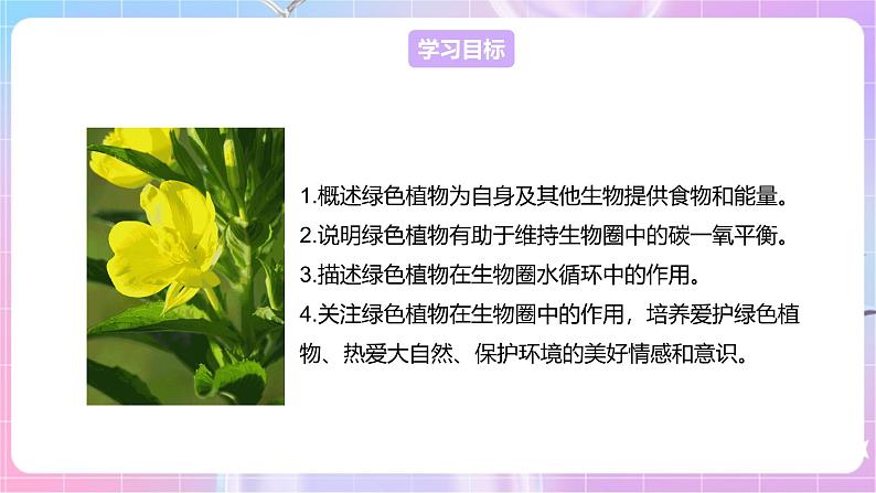 【新课标】冀少版生物八上3.5《绿色植物在生物圈中的作用》课件第2页