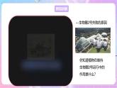 【新课标】冀少版生物八上3.5《绿色植物在生物圈中的作用》课件+教案+学案