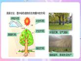 【新课标】冀少版生物八上3.5《绿色植物在生物圈中的作用》课件+教案+学案