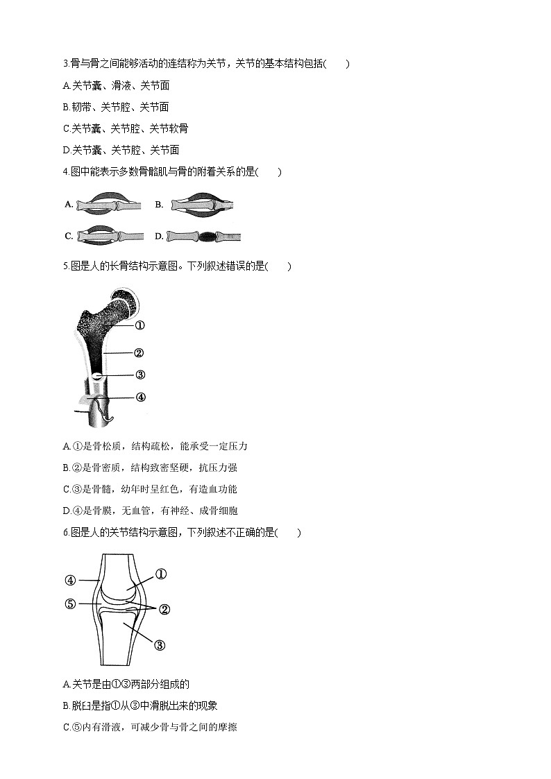 【新课标】冀少版生物八上4.1.1《运动的基础》课件+教案+学案03
