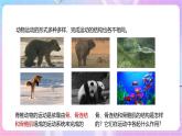 【新课标】冀少版生物八上4.1.1《运动的基础》课件+教案+学案