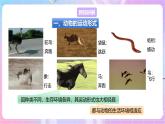 【新课标】冀少版生物八上4.1.1《运动的基础》课件+教案+学案
