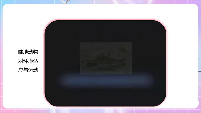 【新课标】冀少版生物八上4.1.1《运动的基础》课件+教案+学案06
