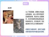 【新课标】冀少版生物八上4.2.2《动物行为的类型》课件+教案+学案