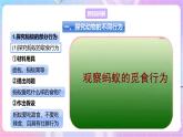 【新课标】冀少版生物八上4.2.2《动物行为的类型》课件+教案+学案