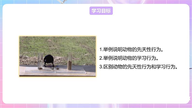 【新课标】冀少版生物八上4.2.3《先天性行为和学习行为》 课件+教案+学案02