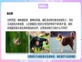 【新课标】冀少版生物八上4.2.3《先天性行为和学习行为》 课件+教案+学案