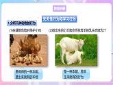 【新课标】冀少版生物八上4.2.3《先天性行为和学习行为》 课件+教案+学案