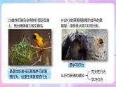 【新课标】冀少版生物八上4.2.3《先天性行为和学习行为》 课件+教案+学案