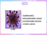 【新课标】冀少版生物八上5.1.2《病毒》课件+教案+学案