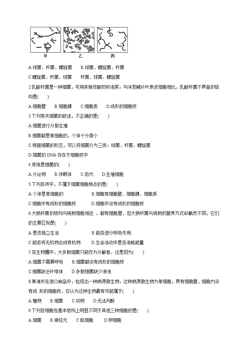 【新课标】冀少版生物八上5.1.1《细菌》第1课时 学案第3页