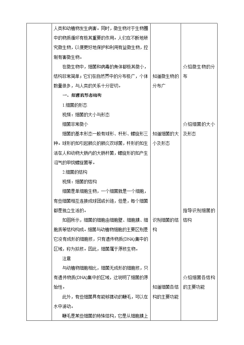 【新课标】冀少版生物八上5.1.1《细菌》第1课时教案第2页