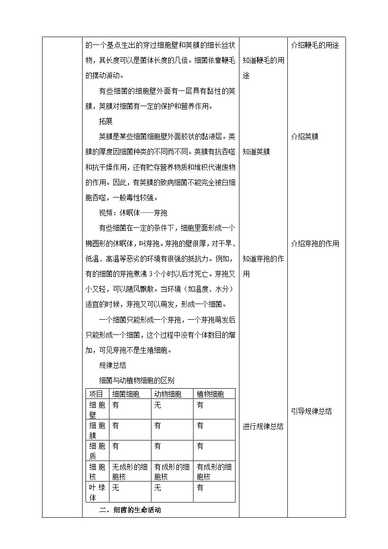 【新课标】冀少版生物八上5.1.1《细菌》第1课时教案第3页