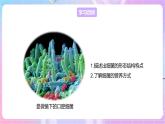 【新课标】冀少版生物八上5.1.1《细菌》第1课时 课件+教案+学案