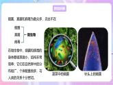 【新课标】冀少版生物八上5.1.1《细菌》第1课时 课件+教案+学案