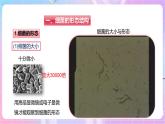 【新课标】冀少版生物八上5.1.1《细菌》第1课时 课件+教案+学案