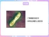 【新课标】冀少版生物八上5.1.1《细菌》第2课时 课件+教案+学案