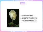 【新课标】冀少版生物八上5.2.2《食用真菌》课件+教案+学案