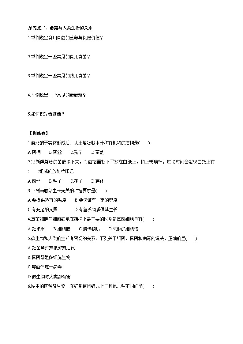 【新课标】冀少版生物八上5.2.2《食用真菌》课件+教案+学案02