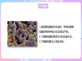 【新课标】冀少版生物八上5.2.1《酵母菌和霉菌--1酵母菌》课件+教案+学案