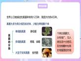 【新课标】冀少版生物八上5.2.1《酵母菌和霉菌--1酵母菌》课件+教案+学案