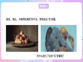 【新课标】冀少版生物八上5.2.1《酵母菌和霉菌--2霉菌》课件+教案+学案