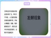 【新课标】冀少版生物八上5.3.1《发酵食品的制作》课件+教案+学案