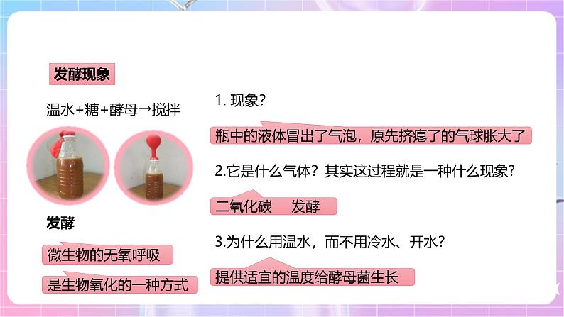 【新课标】冀少版生物八上5.3.1《发酵食品的制作》课件+教案+学案05