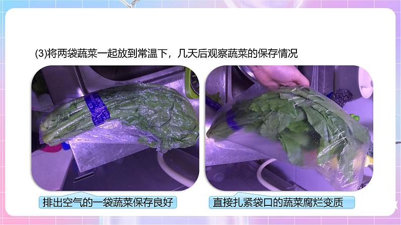 【新课标】冀少版生物八上5.3.2《食品保存技术》课件第7页