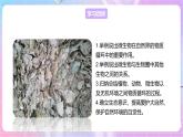 【新课标】冀少版生物八上5.4《微生物在生物圈中的作用》课件+教案+学案