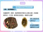 【新课标】冀少版生物八上5.4《微生物在生物圈中的作用》课件+教案+学案