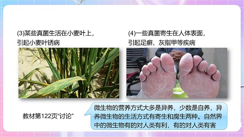 【新课标】冀少版生物八上5.4《微生物在生物圈中的作用》课件+教案+学案08