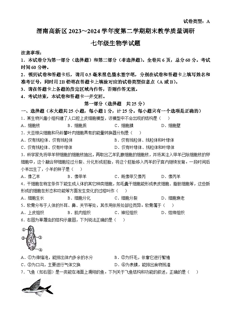 陕西省渭南市高新区2023-2024学年七年级下学期生物期末试题(无答案)第1页