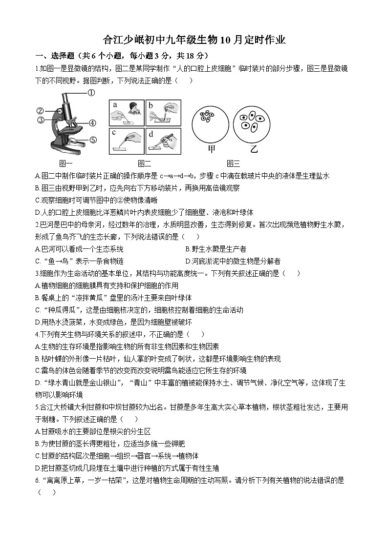 四川省泸州市合江县少岷初中2024-2025学年九年级上学期10月月考生物试题(无答案)01