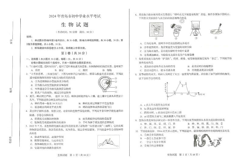 2024年山东省青岛市中考生物试题第1页