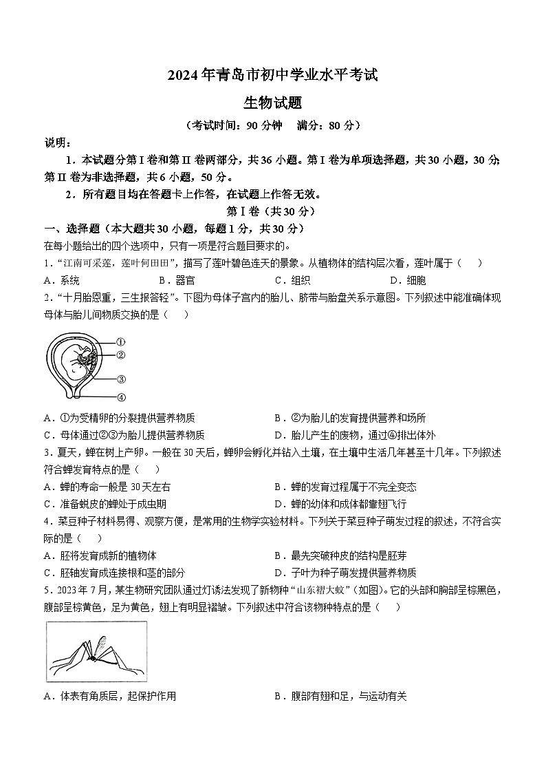 2024年山东省青岛市中考生物试题第1页