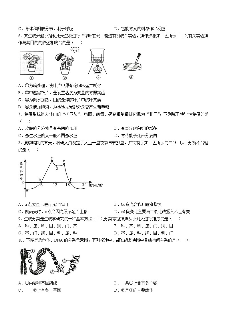 2024年山东省青岛市中考生物试题第2页