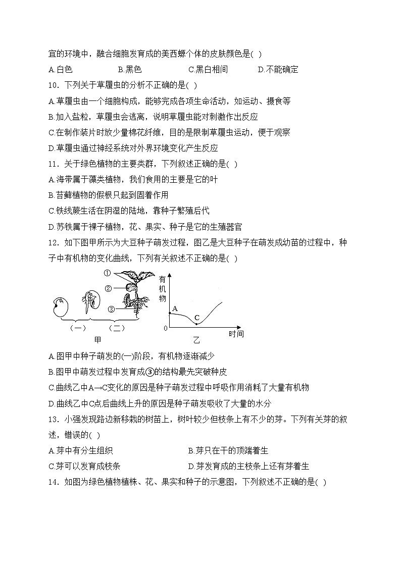 河南省南阳市邓州市2023-2024学年七年级上学期期末考试生物试卷(含答案)第3页