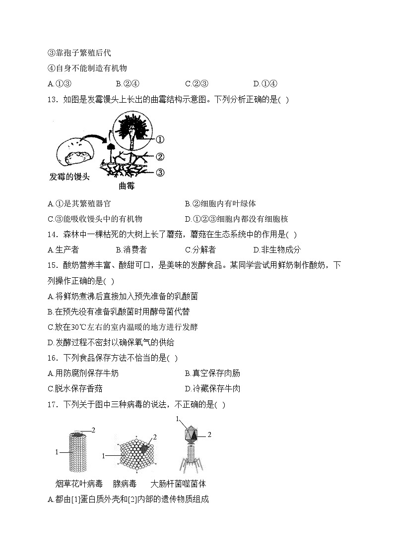 辽宁省丹东市凤城市2023-2024学年八年级上学期期中测试生物试卷(含答案)第3页