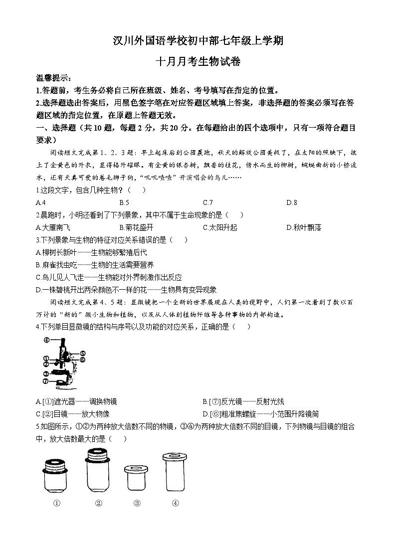 湖北省孝感市汉川外国语学校2024-2025学年七年级上学期10月月考生物试卷01